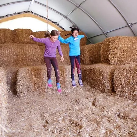 Luxuswellnesshaus Strandschnecke *