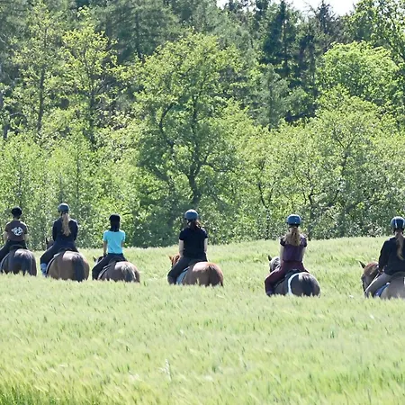 Luxuswellnesshaus Strandschnecke * Bliesdorf